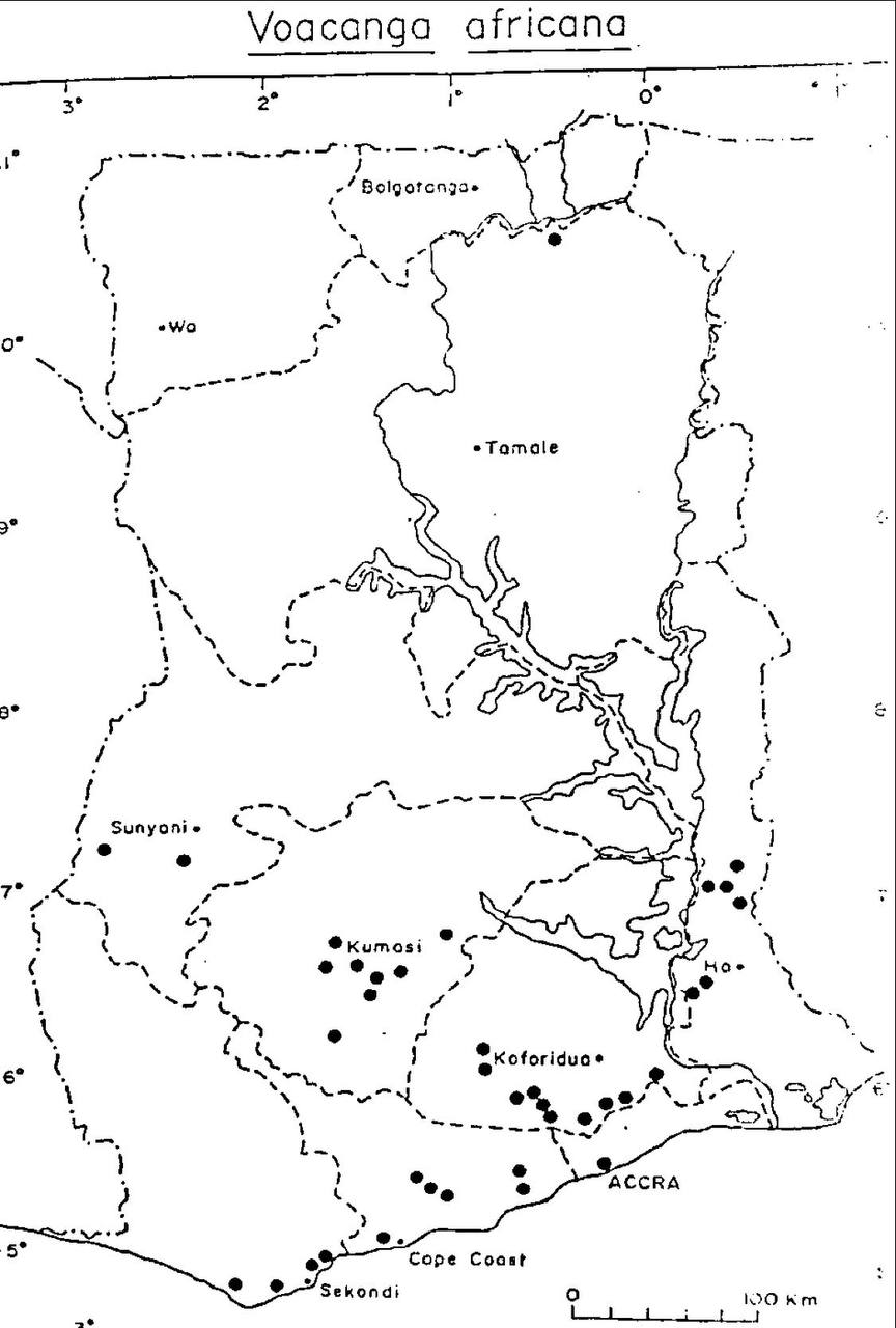 Voacanga Africana Map, Ghana